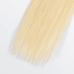 613 Lightest Blonde Straight 01